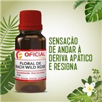 Ficha técnica e caractérísticas do produto Floral de Bach Wild Rose 30ml - Oficialfarma