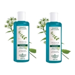 Ficha técnica e caractérísticas do produto Flores E Vegetais Kit - Shampoo Anticaspa 300ml 2 Unidades