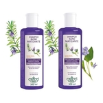 Ficha técnica e caractérísticas do produto Flores E Vegetais Kit - Shampoo Blond Matizante 300ml 2 Uni