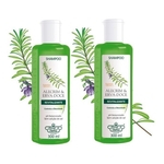 Ficha técnica e caractérísticas do produto Flores E Vegetais 2un Shampoo Alecrim e Erva-doce