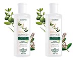 Ficha técnica e caractérísticas do produto Flores e Vegetais 2un Shampoo Hidratação Reparadora 300ml