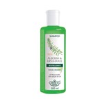 Ficha técnica e caractérísticas do produto Flores Vegetais Alecrim e Erva Doce Shampoo 300ml - Flores e Vegetais