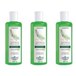 Ficha técnica e caractérísticas do produto Flores & Vegetais Alecrim e Erva Doce Shampoo 300ml - Kit com 03