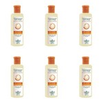 Ficha técnica e caractérísticas do produto Flores & Vegetais Antifrizz Shampoo 300ml - Kit com 06