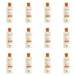 Ficha técnica e caractérísticas do produto Flores & Vegetais Antifrizz Shampoo 300ml - Kit com 12