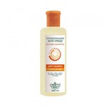 Ficha técnica e caractérísticas do produto Flores Vegetais Antifrizz Shampoo 300ml