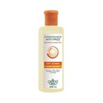 Ficha técnica e caractérísticas do produto Flores & Vegetais Antifrizz Shampoo 300ml