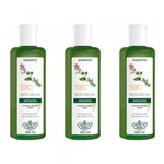 Ficha técnica e caractérísticas do produto Flores Vegetais Antiqueda 7 Ervas Shampoo 300ml (Kit C/03)