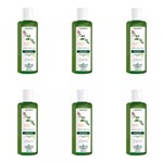 Ficha técnica e caractérísticas do produto Flores Vegetais Antiqueda 7 Ervas Shampoo 300ml (Kit C/06)