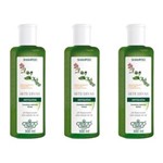 Ficha técnica e caractérísticas do produto Flores & Vegetais Antiqueda 7 Ervas Shampoo 300ml - Kit com 03