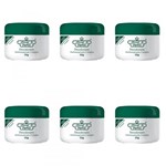 Ficha técnica e caractérísticas do produto Flores Vegetais Antitranspirante Desodorante Creme 55g (Kit C/06)