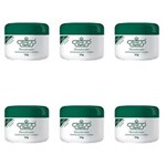 Ficha técnica e caractérísticas do produto Flores & Vegetais Antitranspirante Desodorante Creme 55g - Kit com 06