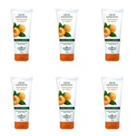 Ficha técnica e caractérísticas do produto Flores & Vegetais Apricot Creme Esfoliante 200g (Kit C/06)