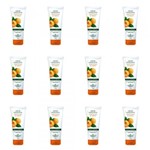 Ficha técnica e caractérísticas do produto Flores Vegetais Apricot Creme Esfoliante 200g (Kit C/12)