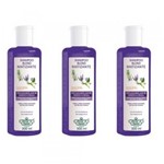 Ficha técnica e caractérísticas do produto Flores Vegetais Blond Matizante Shampoo 300ml (Kit C/03)