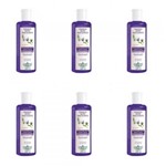 Ficha técnica e caractérísticas do produto Flores Vegetais Blond Matizante Shampoo 300ml (Kit C/06)