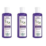 Ficha técnica e caractérísticas do produto Flores & Vegetais Blond Matizante Shampoo 300ml - Kit com 03