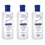 Ficha técnica e caractérísticas do produto Flores & Vegetais Dermocapilar Shampoo 300ml - Kit com 03