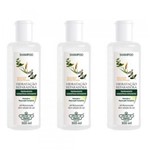 Ficha técnica e caractérísticas do produto Flores Vegetais Hidratação Reparadora Shampoo 300ml (Kit C/03)