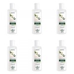 Ficha técnica e caractérísticas do produto Flores Vegetais Hidratação Reparadora Shampoo 300ml (Kit C/06)