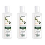 Ficha técnica e caractérísticas do produto Flores & Vegetais Hidratação Reparadora Shampoo 300ml - Kit com 03