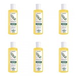 Ficha técnica e caractérísticas do produto Flores Vegetais Jaborandi Arnica Shampoo 300ml (Kit C/06)