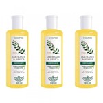 Ficha técnica e caractérísticas do produto Flores Vegetais Jaborandi Arnica Shampoo 300ml (Kit C/03)