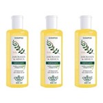 Ficha técnica e caractérísticas do produto Flores & Vegetais Jaborandi Arnica Shampoo 300ml - Kit com 03