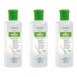 Ficha técnica e caractérísticas do produto Flores Vegetais Liso Absoluto Pré Escova Shampoo 300ml (Kit C/03)
