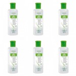 Ficha técnica e caractérísticas do produto Flores Vegetais Liso Absoluto Pré Escova Shampoo 300ml (Kit C/06)
