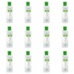 Ficha técnica e caractérísticas do produto Flores Vegetais Liso Absoluto Pré Escova Shampoo 300ml (Kit C/12)