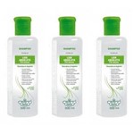 Ficha técnica e caractérísticas do produto Flores & Vegetais Liso Absoluto Pré Escova Shampoo 300ml - Kit com 03