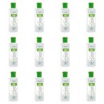 Ficha técnica e caractérísticas do produto Flores & Vegetais Liso Absoluto Pré Escova Shampoo 300ml - Kit com 12
