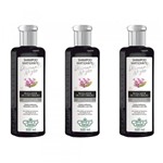 Ficha técnica e caractérísticas do produto Flores Vegetais Matiz Diamante Negro Shampoo 300ml (Kit C/03)