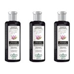 Ficha técnica e caractérísticas do produto Flores & Vegetais Matiz Diamante Negro Shampoo 300ml - Kit com 03