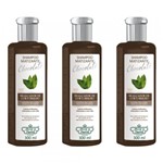 Ficha técnica e caractérísticas do produto Flores Vegetais Matizante Chocolate Shampoo 300ml (Kit C/03)