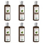 Ficha técnica e caractérísticas do produto Flores Vegetais Matizante Chocolate Shampoo 300ml (Kit C/06)
