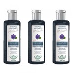 Ficha técnica e caractérísticas do produto Flores Vegetais Matizante Platinado Shampoo 300ml (Kit C/03)