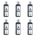 Ficha técnica e caractérísticas do produto Flores Vegetais Matizante Platinado Shampoo 300ml (Kit C/06)