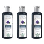 Ficha técnica e caractérísticas do produto Flores & Vegetais Matizante Platinado Shampoo 300ml (Kit C/03)