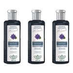 Ficha técnica e caractérísticas do produto Flores & Vegetais Matizante Platinado Shampoo 300ml - Kit com 03