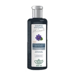 Ficha técnica e caractérísticas do produto Flores & Vegetais Matizante Platinado Shampoo 300ml