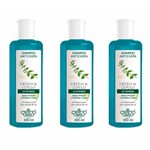 Ficha técnica e caractérísticas do produto Flores Vegetais Ortiga e Lúpulo Shampoo 300ml (Kit C/03)