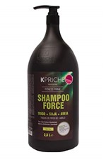 Ficha técnica e caractérísticas do produto Force Shampoo 2,5L Kpriche