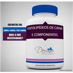Ficha técnica e caractérísticas do produto Fosfolipídeos de Caviar (f. C. Oral) 200mg