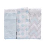 Ficha técnica e caractérísticas do produto Fralda de Algodão para Bebê Luxo Masculina Azul Kit com 3 Unidades