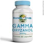 Ficha técnica e caractérísticas do produto Gamma Oryzanol 300 Mg - 60 Cápsulas