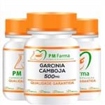 Ficha técnica e caractérísticas do produto Garcinia Cambogia 500Mg 30 Cápsulas