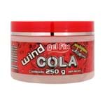 Ficha técnica e caractérísticas do produto Gel Cola Sem Álcool 250g - Wind Fix