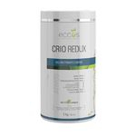 Ficha técnica e caractérísticas do produto Gel Crioterápico Detox